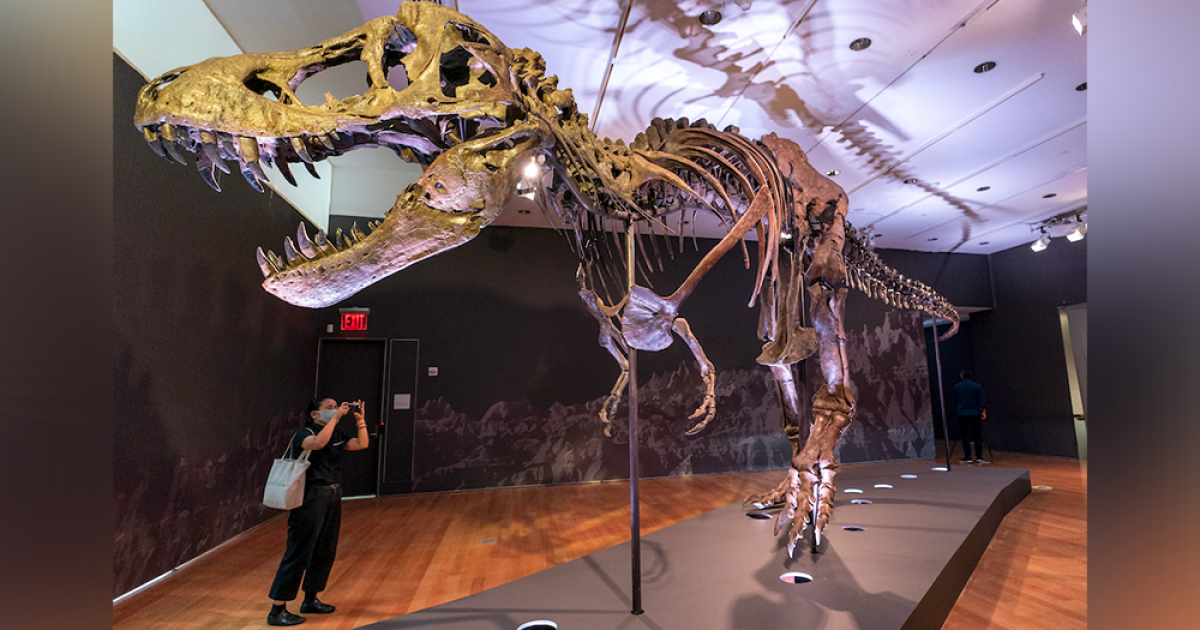 Buyer of one of world's largest T-Rex sculptures revealed